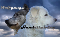 Infos zu Wolfgangs Hundetraining