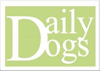 Infos zu Daily Dogs - Alltagsorientierte Hundeerziehung