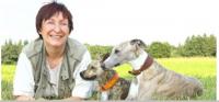 Infos zu Hundeschule Amperland die mobile Hundeschule für FFB und Umgebung