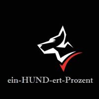 Dieses Bild zeigt das Logo des Unternehmens ein-HUND-ert-Prozent