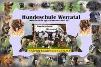 Dieses Bild zeigt das Logo des Unternehmens Hundeschule Werratal