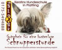 Dieses Bild zeigt das Logo des Unternehmens Fun-and-dogs.de