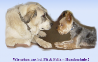Infos zu Pit & Felix - Hundeschule