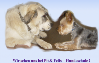 Dieses Bild zeigt das Logo des Unternehmens Pit & Felix - Hundeschule