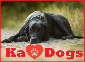 Dieses Bild zeigt das Logo des Unternehmens Ka-Dogs