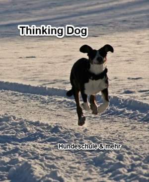 Dieses Bild zeigt das Logo des Unternehmens Thinking Dog 