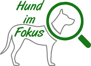 Dieses Bild zeigt das Logo des Unternehmens Hund im Fokus Niederrhein