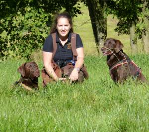 Infos zu Hundetraining dog competence