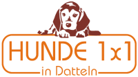 Dieses Bild zeigt das Logo des Unternehmens Hundeschule Hunde 1x1 in Datteln