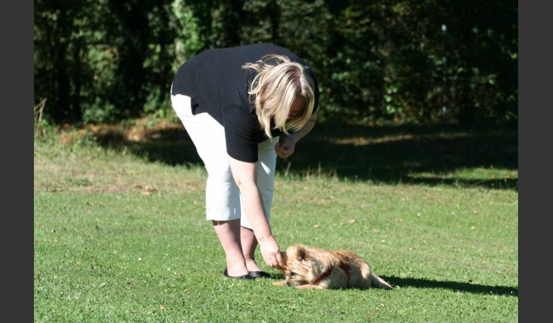 ... dann zeigen Hund und Halter was sie gelernt haben.